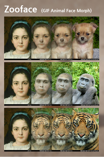 Zooface - GIF Animal Morph Screen 2