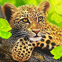 Download The Leopard Install Latest APK downloader