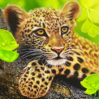 The Leopard apk
