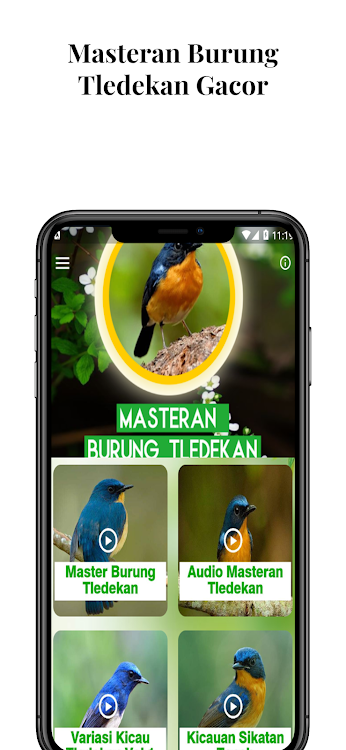 Masteran Burung Tledekan Gacor - 2.8.3 - (Android)