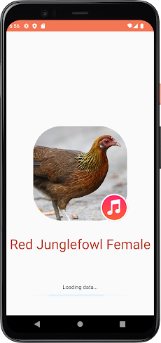 Red Junglefowl Female Soundsのおすすめ画像1