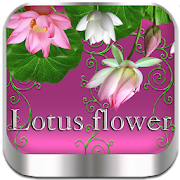 Lotus flower Go Launcher theme