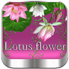 Lotus flower Go Launcher theme MOD