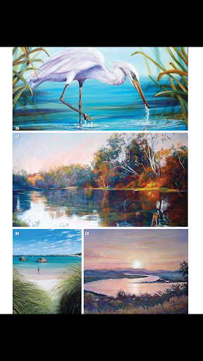 Australian How To Paint Screen 3
