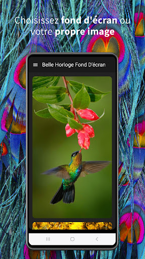 Aperçu de l'application