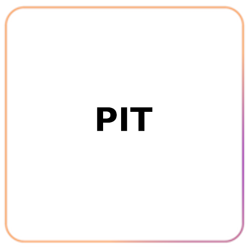 PIT LIVECHEK logo