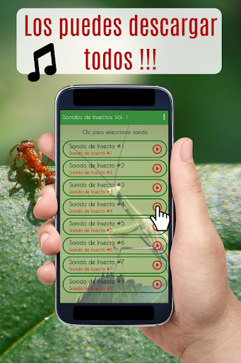 Sonidos de Insectos, zumbidos. Screen 2