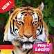 Learn Animals in German