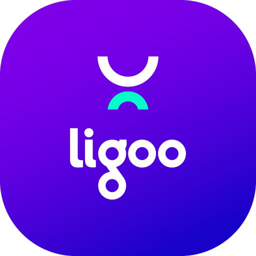 Ligoo Download on Windows