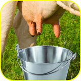 Cow Milker! icon