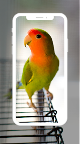 Lovebird Wallpaper 1.5.1 APK + Мод (Unlimited money) за Android