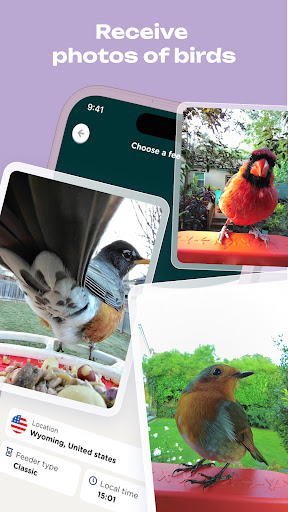 Bird Buddy: Tap into nature Screen 2