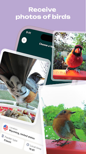 Bird Buddy: Tap into nature - Apps on Google Play