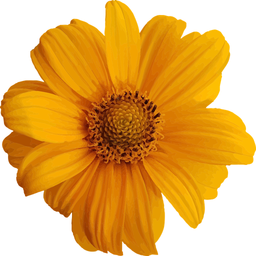 Piante ornamentali logo