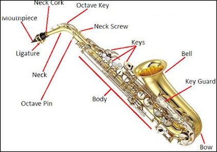 Captura 6 Aprende a tocar Saxofón fácil android