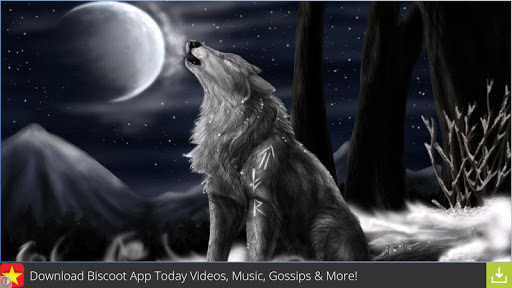 Nice Animals Wallpapers Screen 2