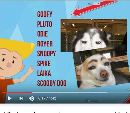 Nombres para perros pitbull Screen 3
