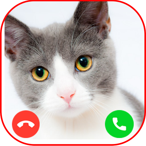 Cat Fake Video Call Prank विंडोज़ पर डाउनलोड करें