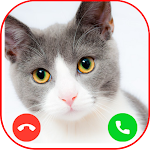 Cover Image of ดาวน์โหลด Cat Fake Video Call Prank  APK