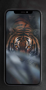 Tiger Wallpaper HD 4K
