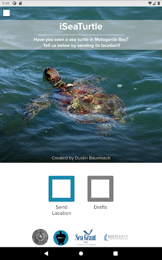 iSeaTurtle Screen 3