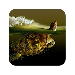 Cover Image of ดาวน์โหลด Turtle Wallpaper  APK