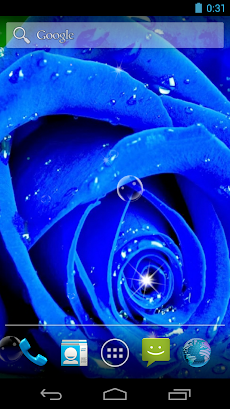 Blue Rose Live Wallpaperのおすすめ画像5