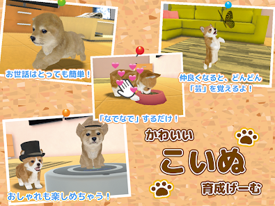 子犬のかわいい育成ゲーム 癒しの犬育成アプリ Apl Di Google Play