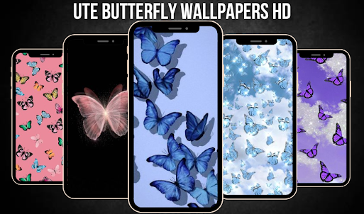 Cute Butterfly Wallpaper 4K