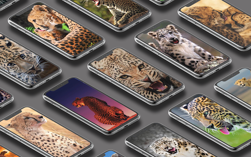 Leopard Wallpaper 2.7 screenshots 1