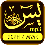 Сура Ясин и Мулк (mp3) + короткие суры Корана. Apk