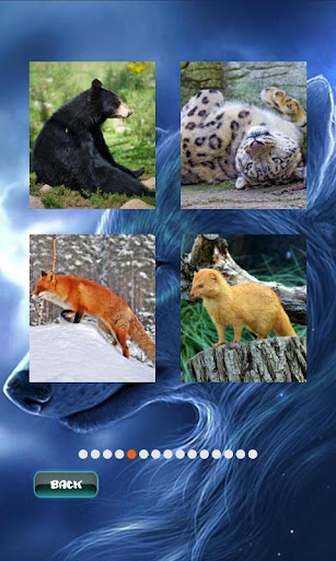 Animals Jigsaw Puzzle screenshots 2