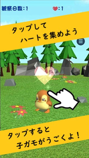Android application かもさんぽ　癒しの観察育成ゲーム screenshort