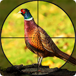 Cover Image of ดาวน์โหลด Pheasant Shooter: Crossbow Birds Hunting Games 1.1 APK