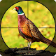 Pheasant Shooter Birds Hunting