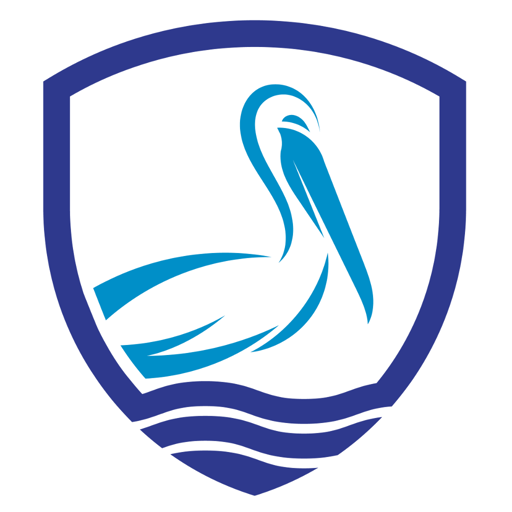 Bayou Insurance Services logo