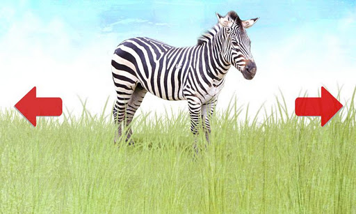Animals for Kids Screen 3