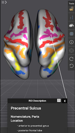 Brain Tutor 3D Screen 3
