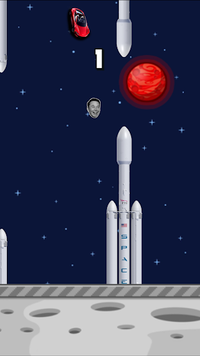 Elon Musk Bird Screen 2