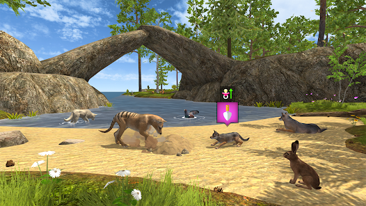 Screenshot image
