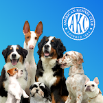 Cover Image of Download AKC Meet the Breeds 1.1.7 APK
