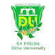 Dilla University Download on Windows