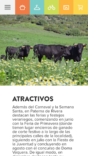 Conoce Paterna Screen 2