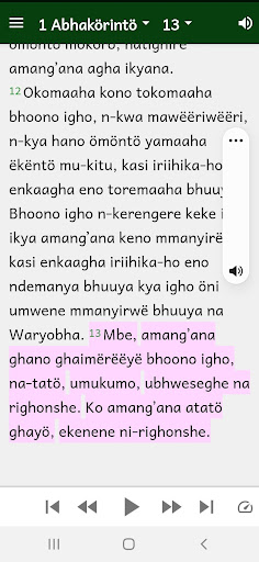 Simbiti Bible with Swahili Screen 3