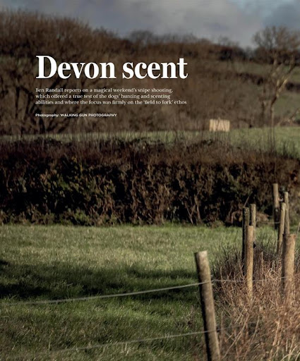 Gundog Journal Magazine Screen 3