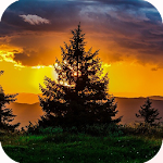 Cover Image of Download HD Nature Wallpaper 1.1 APK