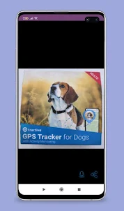 fitbark gps guide