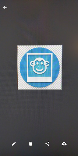 Photo Monkey Screen 3