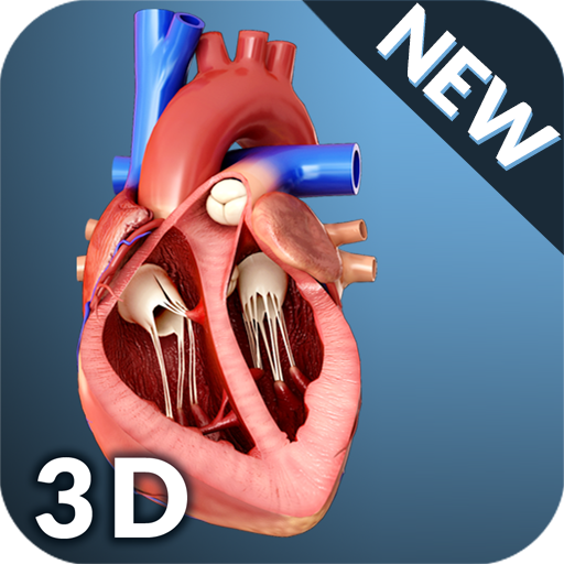 Heart Anatomy Pro. logo