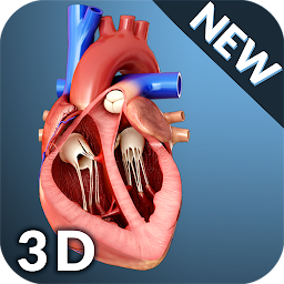 Icon image Heart Anatomy Pro.